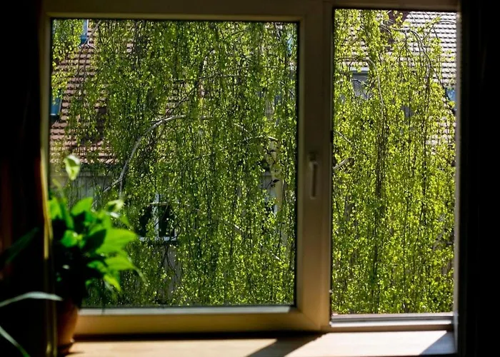 Stylowy, Przestronny 80m2 Na Zielonej Ulicy W Centrum Apartmán *