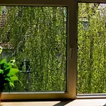 Stylowy, Przestronny 80m2 Na Zielonej Ulicy W Centrum アパート *