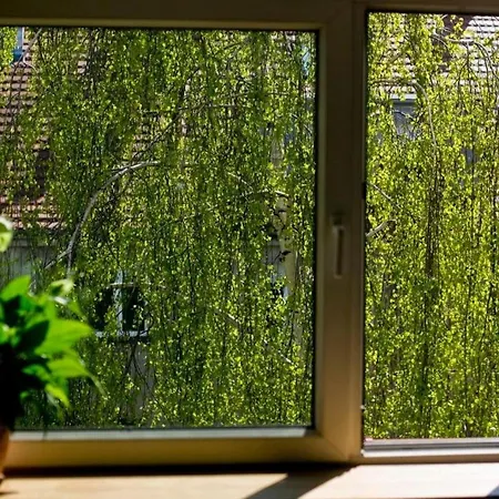 Stylowy, Przestronny 80m2 Na Zielonej Ulicy W Centrum Apartmán *