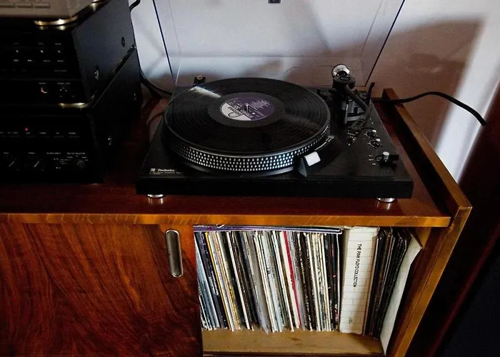 Stylowy, Przestronny 80m2 Na Zielonej Ulicy W Centrum Breslavia